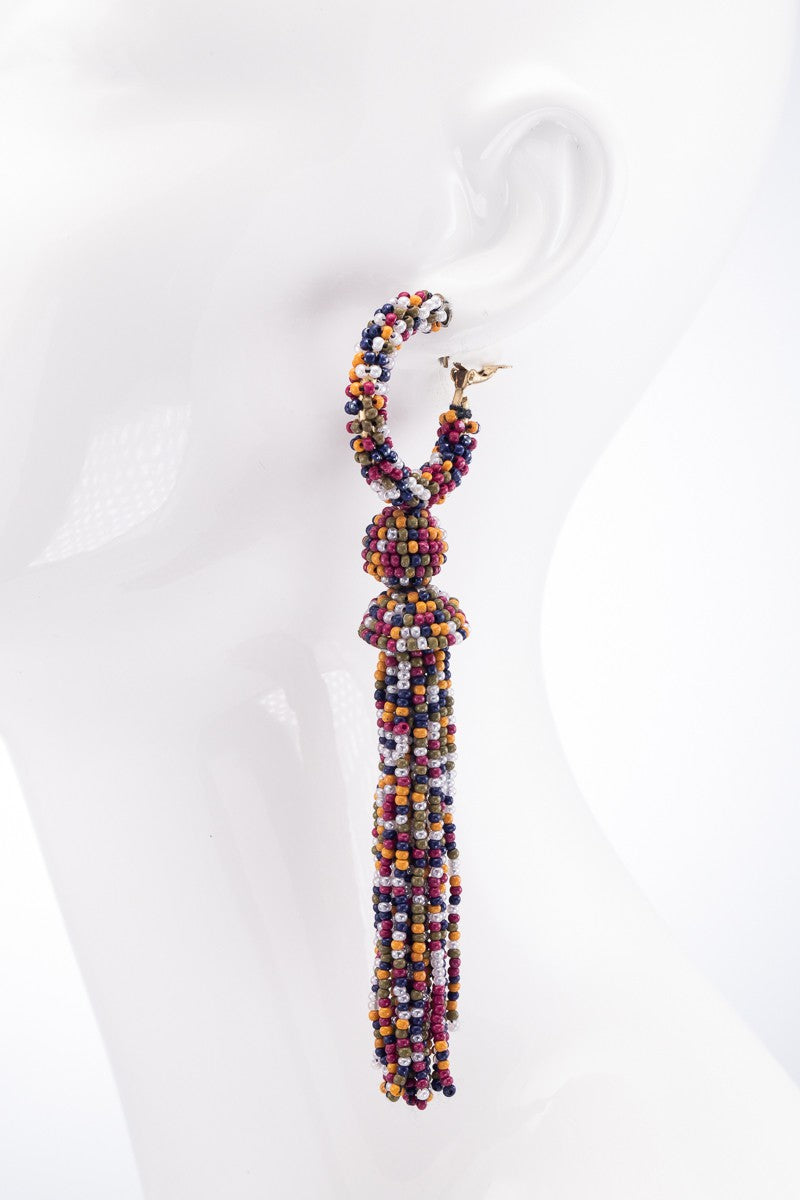 Multicolor Long Beaded Earrings